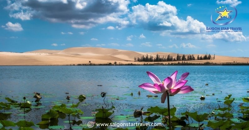 Bàu Trắng Mũi Né